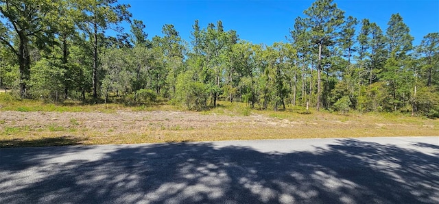 0 NW Mallard Ave, Dunnellon, FL 34431