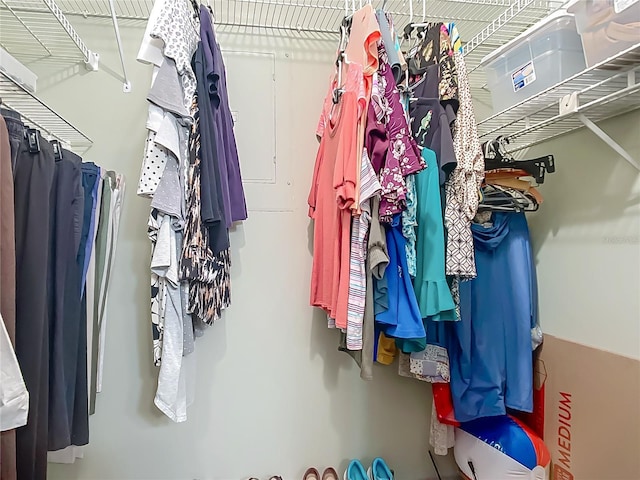 view of walk in closet