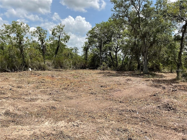 TBD NE 69th St NE, Bronson, FL 32621
