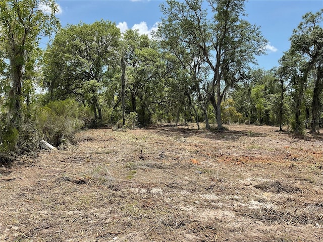 TBD NE 69th St NE, Bronson, FL 32621