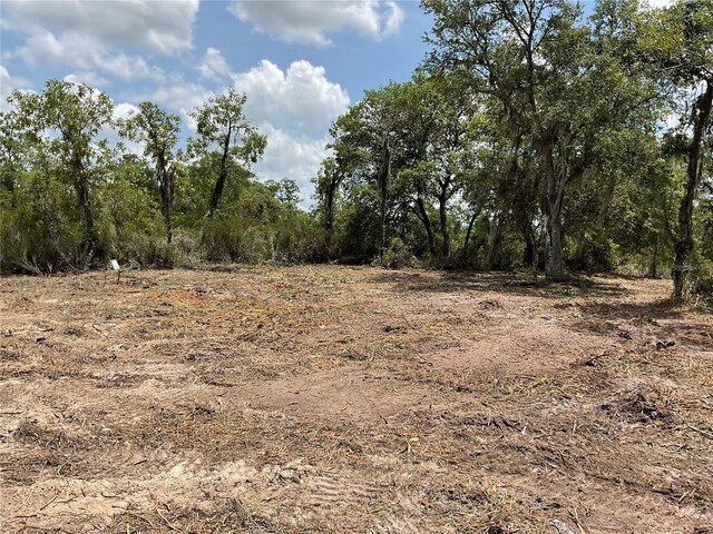 TBD NE 69th St NE, Bronson, FL 32621