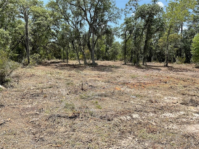TBD NE 69th St NE, Bronson, FL 32621