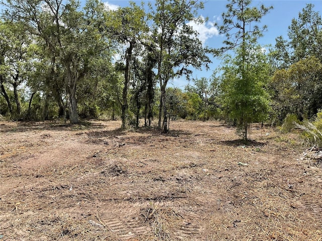 TBD NE 69th St NE, Bronson, FL 32621