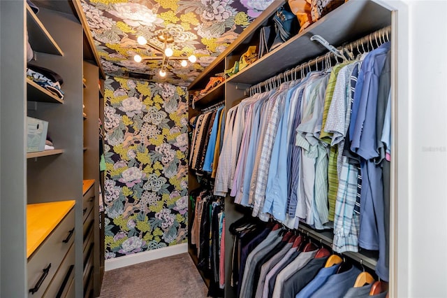 5770 SW 89th Pl, Ocala, FL 34476 - walk in closet featuring carpet