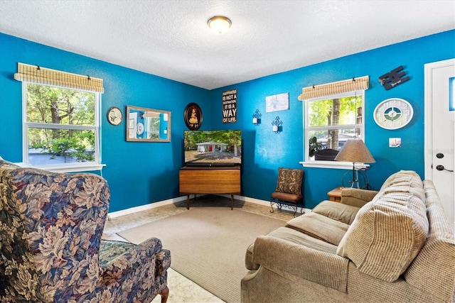 8570 N Discalfani Loop, Crystal River, FL 34428 - living room featuring a textured wall, baseboards, and a textured ceiling