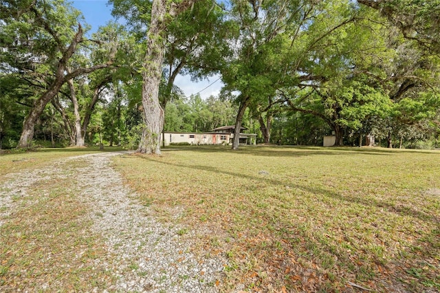 2780 County Road 575, Bushnell, FL 33513 - view of yard