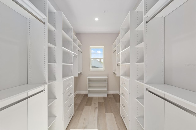 129 SE Watula Ave, Ocala, FL 34471 - spacious closet featuring light wood finished floors