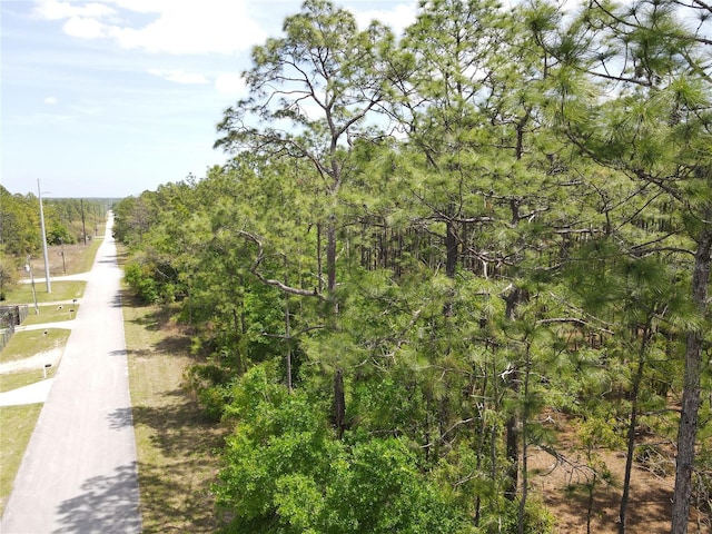 Sw 59 Lane, Dunnellon, FL 34431