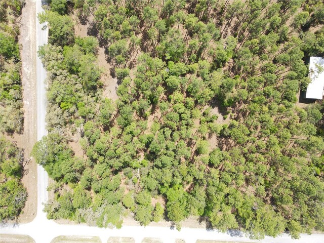 Sw 59 Lane, Dunnellon, FL 34431