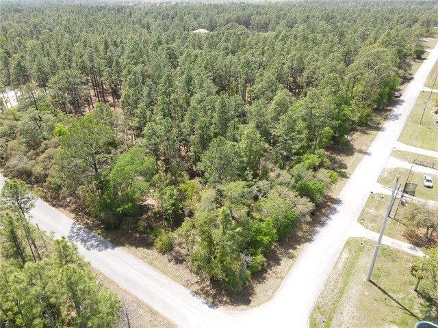 Sw 59 Lane, Dunnellon, FL 34431