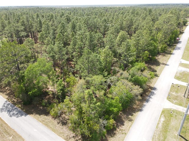 Sw 59 Lane, Dunnellon, FL 34431