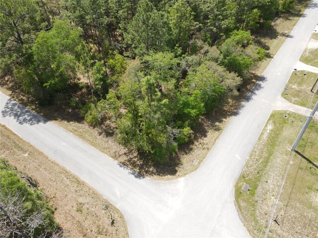Sw 59 Lane, Dunnellon, FL 34431
