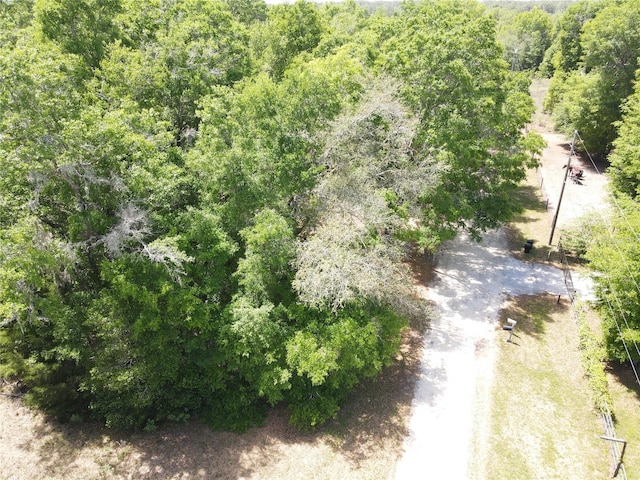 Sw 30 Place, Ocala, FL 34481 - photo 3