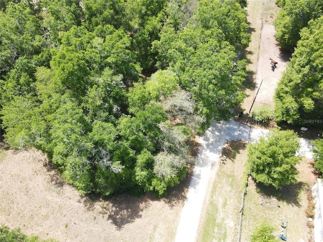 Sw 30 Place, Ocala, FL 34481 - photo 4