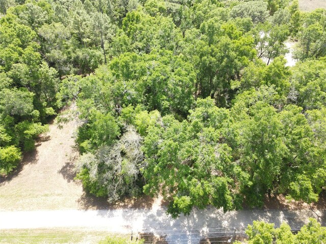Sw 30 Place, Ocala, FL 34481 - photo 5