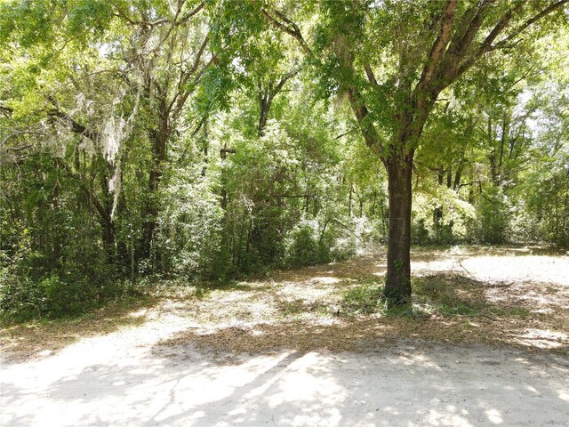 Sw 30 Place, Ocala, FL 34481 - photo 6