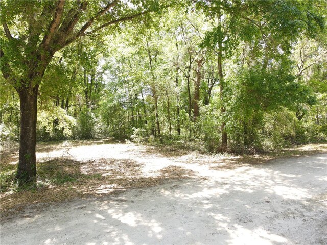 Sw 30 Place, Ocala, FL 34481 - photo 8