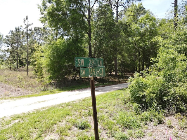 Sw 29 Lane, Ocala, FL 34481 - photo 1