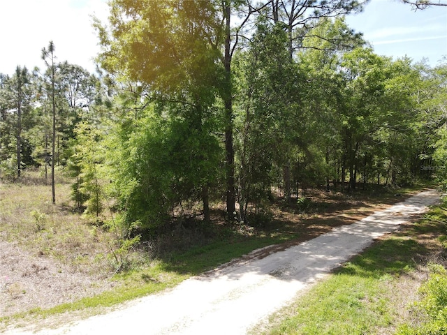 Sw 29 Lane, Ocala, FL 34481 - photo 2