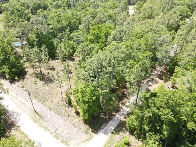 Sw 29 Lane, Ocala, FL 34481 - photo 3