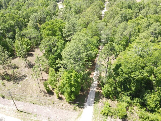 Sw 29 Lane, Ocala, FL 34481 - photo 4