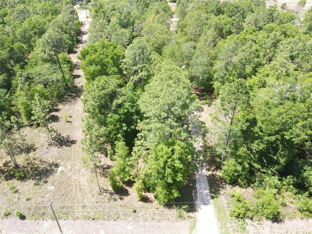 Sw 29 Lane, Ocala, FL 34481 - photo 5
