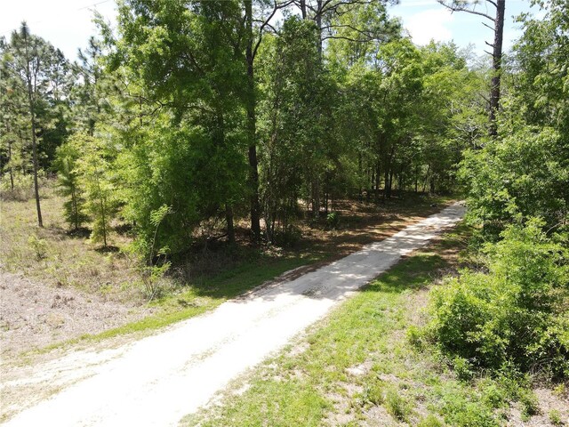 Sw 29 Lane, Ocala, FL 34481 - photo 6