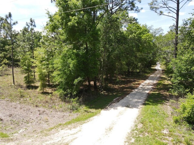 Sw 29 Lane, Ocala, FL 34481 - photo 8