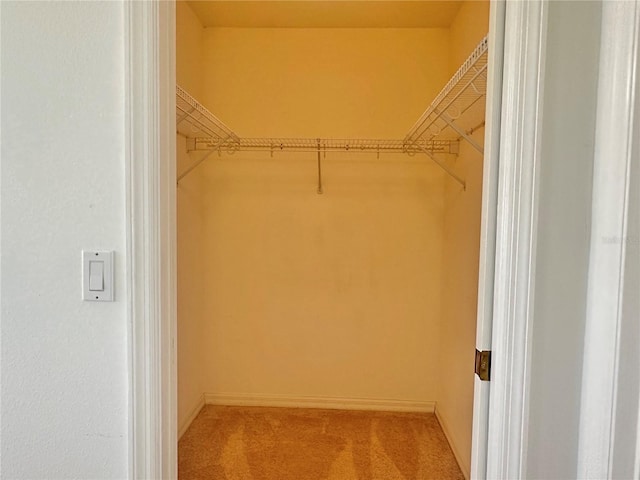 spacious closet featuring carpet floors