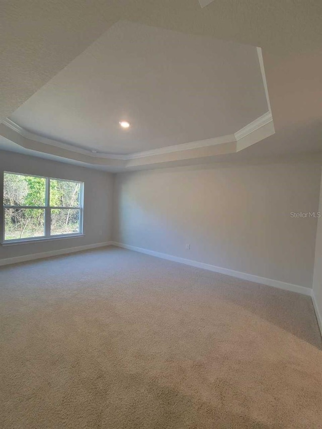 empty room featuring a tray ceiling, baseboards, carpet floors, and ornamental molding