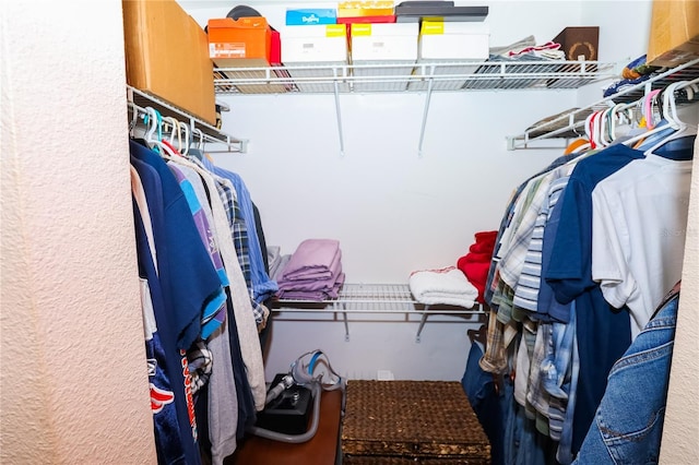 view of spacious closet