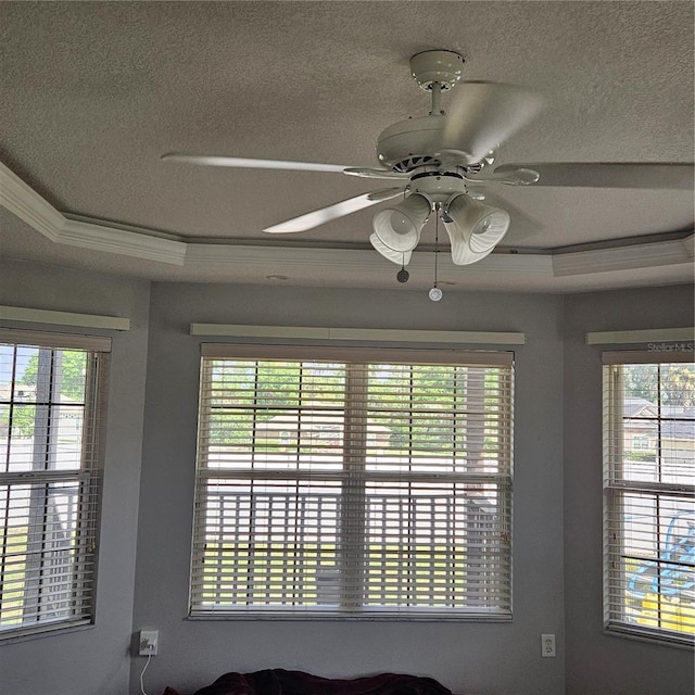 room details with ornamental molding, ceiling fan, and a textured ceiling