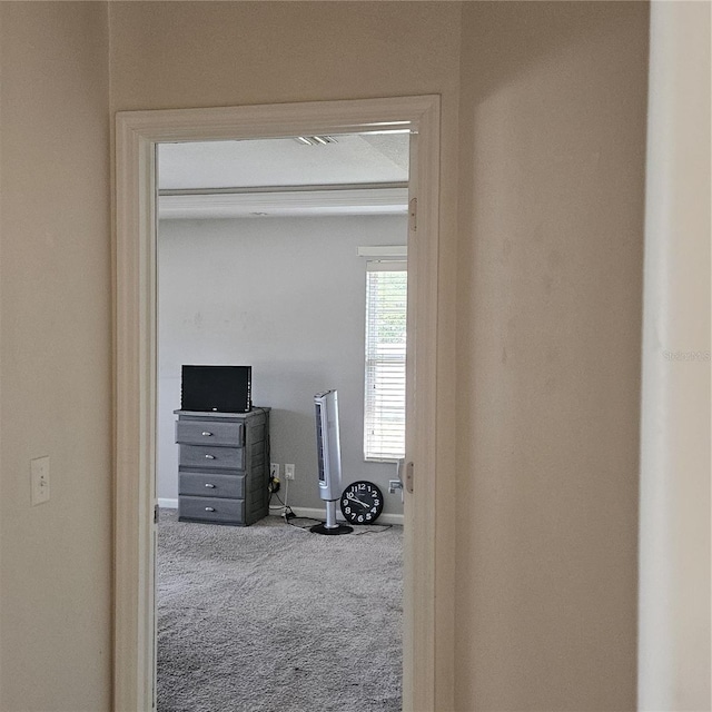 interior space featuring baseboards and carpet flooring