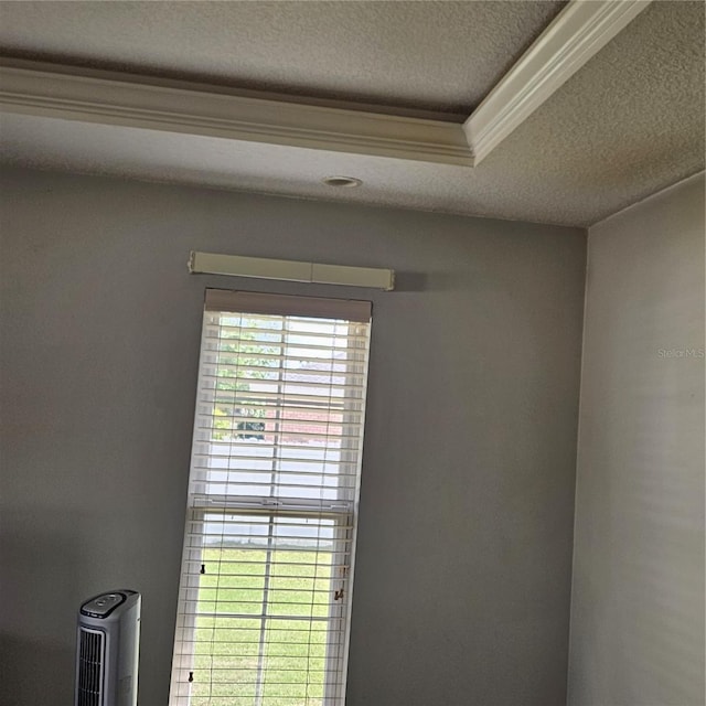 details featuring a textured ceiling, crown molding, and a raised ceiling