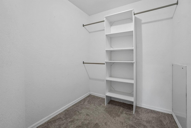 4246 NE 32nd Cir, Ocala, FL 34479 - walk in closet with carpet floors