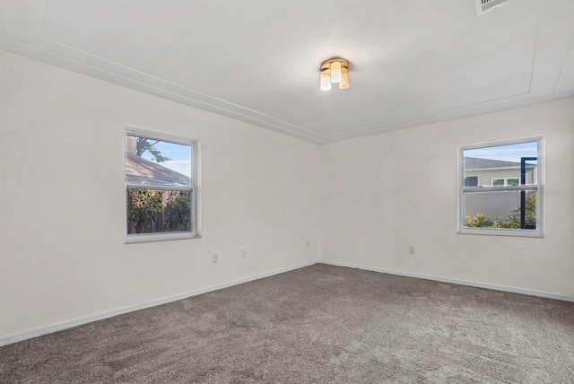 4246 NE 32nd Cir, Ocala, FL 34479 - empty room featuring a wealth of natural light, baseboards, and carpet floors