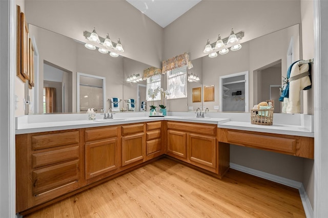bathroom with wood finished floors, a sink, and double vanity