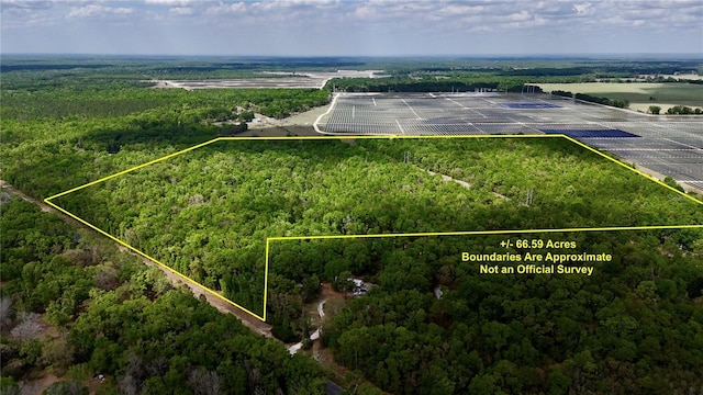 SW County Road 138, Fort White, FL 32038 - photo 1