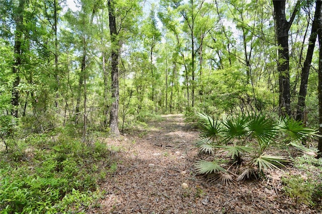 SW County Road 138, Fort White, FL 32038 - photo 4
