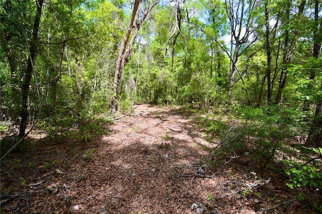 SW County Road 138, Fort White, FL 32038 - photo 5