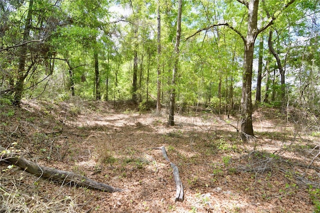 SW County Road 138, Fort White, FL 32038 - photo 7