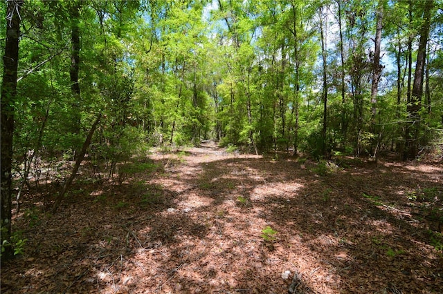 SW County Road 138, Fort White, FL 32038 - photo 9
