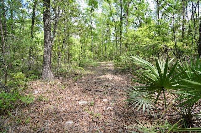 SW County Road 138, Fort White, FL 32038 - photo 11