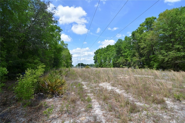 SW County Road 138, Fort White, FL 32038 - photo 12