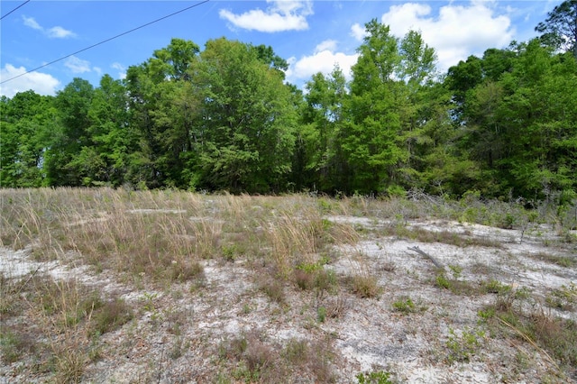 SW County Road 138, Fort White, FL 32038 - photo 13