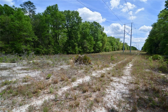 SW County Road 138, Fort White, FL 32038 - photo 14