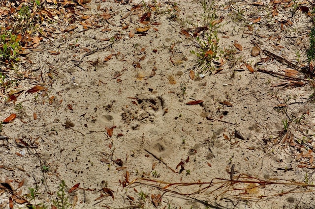 SW County Road 138, Fort White, FL 32038 - photo 15