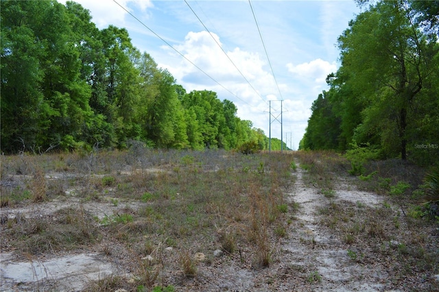 SW County Road 138, Fort White, FL 32038 - photo 17