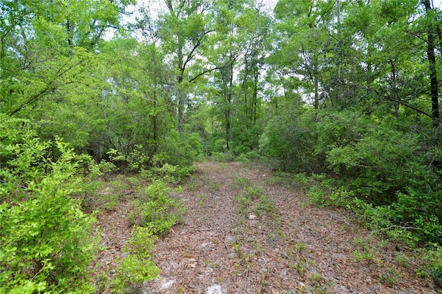 SW County Road 138, Fort White, FL 32038 - photo 18
