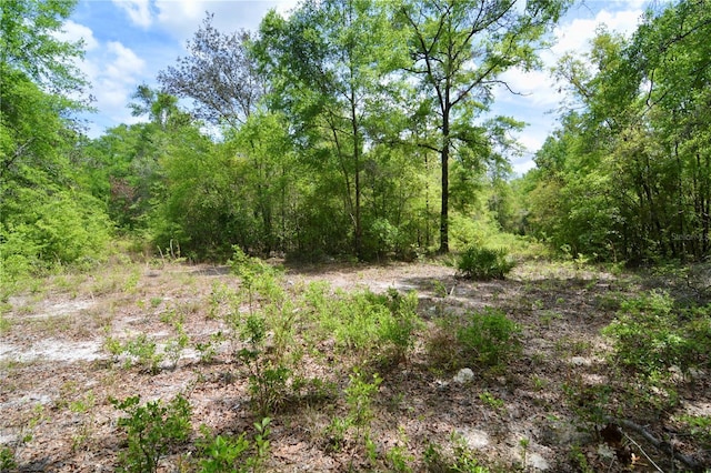 SW County Road 138, Fort White, FL 32038 - photo 19